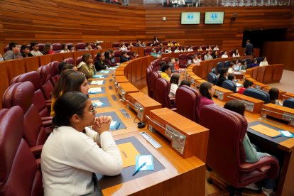 Un centenar de escolares de nueve centros de Castilla y León participa en el pleno infantil de las Cortes organizado por Aldeas Infantiles SOS.