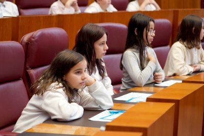Un centenar de escolares de nueve centros de Castilla y León participa en el pleno infantil de las Cortes organizado por Aldeas Infantiles SOS.