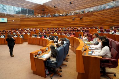 Un centenar de escolares de nueve centros de Castilla y León participa en el pleno infantil de las Cortes organizado por Aldeas Infantiles SOS.