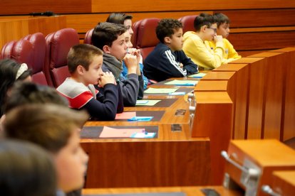 Un centenar de escolares de nueve centros de Castilla y León participa en el pleno infantil de las Cortes organizado por Aldeas Infantiles SOS.