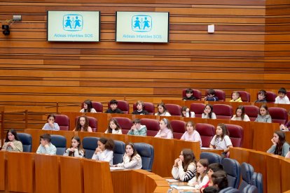 Un centenar de escolares de nueve centros de Castilla y León participa en el pleno infantil de las Cortes organizado por Aldeas Infantiles SOS.