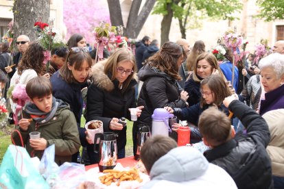 Procesión de la Resurrección de Zamora.