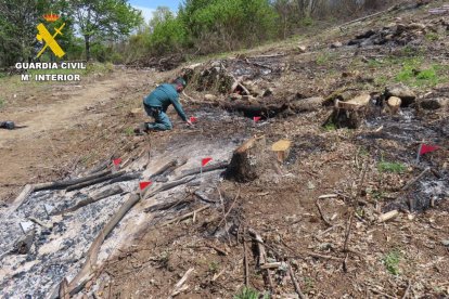 Localizado el foco del incendio en Puerto de Béjar.