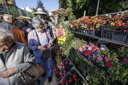 XI edición de la Fiesta de las Flores