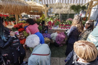 XI edición de la Fiesta de las Flores