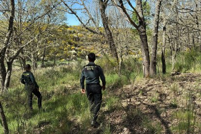 Aparece en buen estado de salud la mujer de 80 años desaparecida en Otero de Sanabria