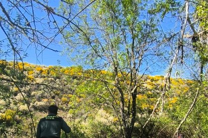 Aparece en buen estado de salud la mujer de 80 años desaparecida en Otero de Sanabria