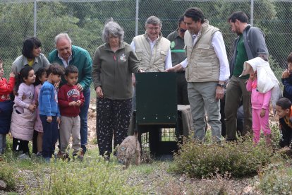 El consejero de Medio Ambiente, Vivienda y Ordenación del Territorio, Juan Carlos Suárez-Quiñones asiste a la suelta del lince, Venadillo, en Astudillo (Palencia)