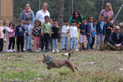 Alumnos de Torquemada observan a Venadillo