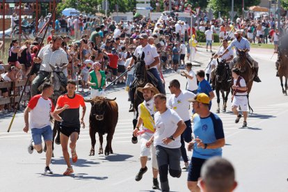 Celebración del Jueves la Saca en Soria durante las fiestas de San Juan.