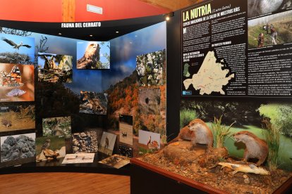 El Museo del Cerrato de Baltanás (Palencia) celebra su efeméride con un viaje por la historia, la cultura y los sueños de toda una comarca