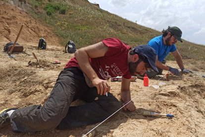 Investigadores de la UNED desentierran en Zamora el esqueleto más completo de un cocodrilo terrestre del Eoceno en Europa