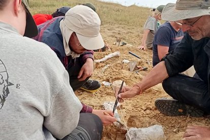 El grupo de geólogos de la USAL y UNED excavan en sedimentos eocenos de la provincia de Zamora