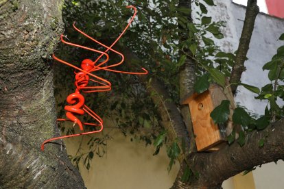 Exposición 'Bichos' de José Castrillo en el museo de arte contemporáneo de Carrión de los Condes