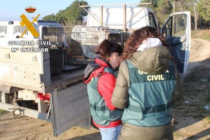 'Operación Tarner' en la que se ha rescatado a un perro muerto y veintitrés vivos