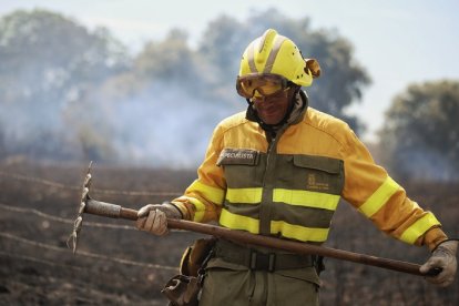 Decenas de hectáreas calcinadas en Castillejo de Martín Viejo (Salamanca).