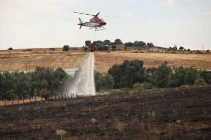 Decenas de hectáreas calcinadas en Castillejo de Martín Viejo (Salamanca).