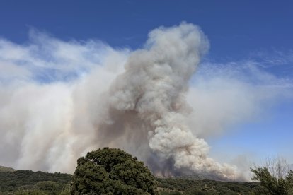 Columna de humo por el fuego de Navaluenga vista desde la ciudad de Ávila