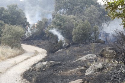 Columna de humo por el fuego de Navaluenga vista desde la ciudad de Ávila