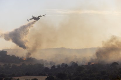 Incendio de Navaluenga en la provincia de Ávila