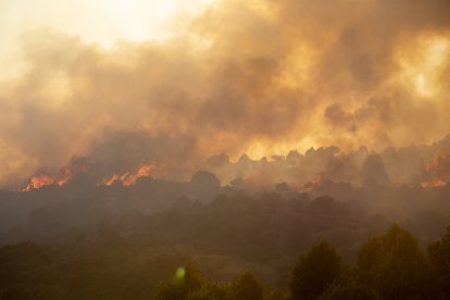 Incendio de Navaluenga en la provincia de Ávila