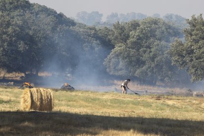 Incendio de Navaluenga en la provincia de Ávila