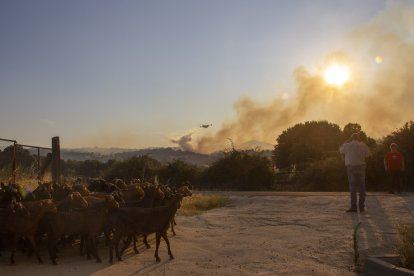 Incendio de Navaluenga en la provincia de Ávila