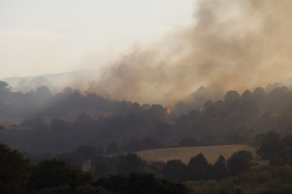 Incendio de Navaluenga en la provincia de Ávila