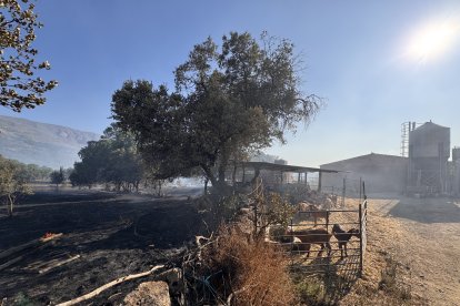 Incendio de Navaluenga en la provincia de Ávila