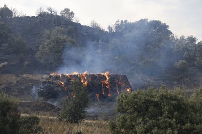 Incendio de Navaluenga en la provincia de Ávila
