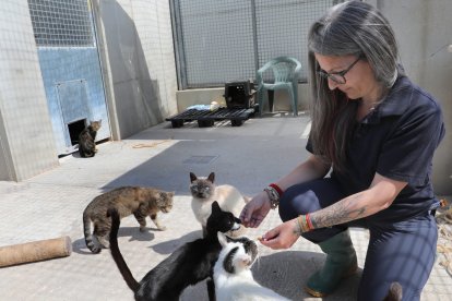 Susana Navarro con los gatos de la protectora