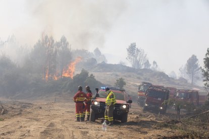 Incendio de Cuevas del Valle en Ávila.