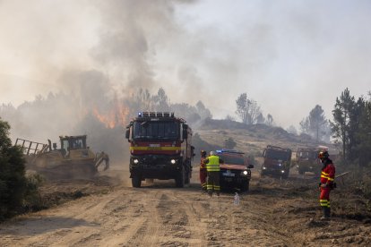 Incendio de Cuevas del Valle en Ávila.
