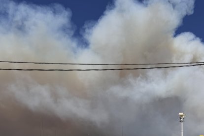 Incendio de Cuevas del Valle en Ávila.