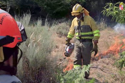 Contrafuego o fuego técnico como herramienta de combate de extinción en las inmediaciones del Arenal.
