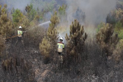 Incendio en Abejera y Ríofrio de Aliste