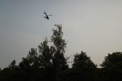 Incendio en Anllares del Sil (León)