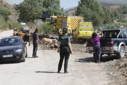 Incendio en Porto de Sanabria