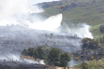Incendio en Porto de Sanabria