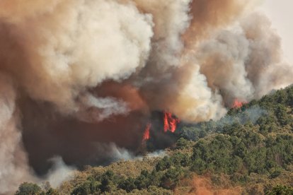 Incendio forestal cercano a la población de El Payo (Salamanca) de nivel 2