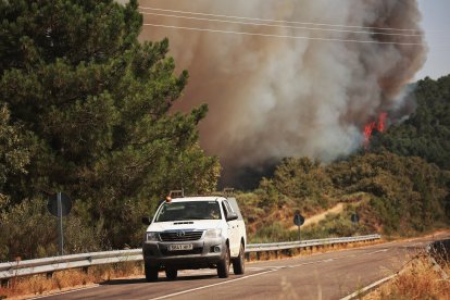 Incendio forestal cercano a la población de El Payo (Salamanca) de nivel 2
