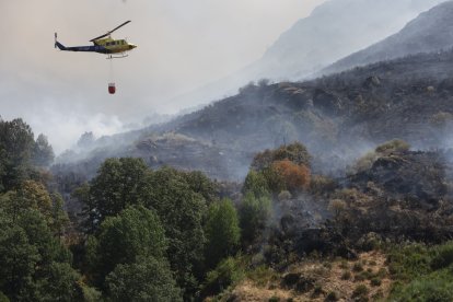 Incendio en Porto de Sanabria