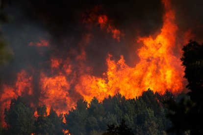 Incendio forestal en El Payo (Salamanca) en nivel 2. La proximidad de las llamas obliga a evacuar a los vecinos de El Payo (Salamanca)