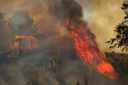 Incendio forestal en El Payo (Salamanca) en nivel 2. La proximidad de las llamas obliga a evacuar a los vecinos de El Payo (Salamanca)