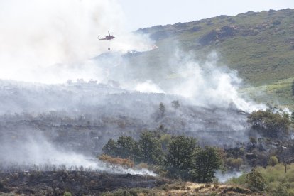 Incendio en Porto de Sanabria.