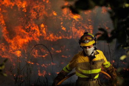 Efectivos de extinción se enfrentan a las llamas en el incendio de El Payo, en Salamanca.