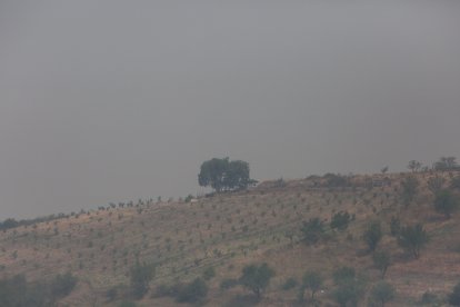Intenso humo en el Bierzo debido a los diferentes incendios activos