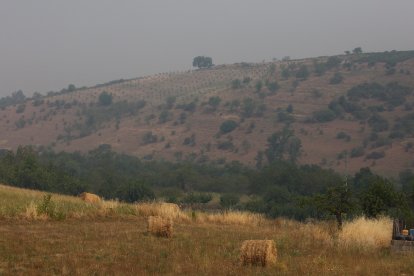 Intenso humo en el Bierzo debido a los diferentes incendios activos