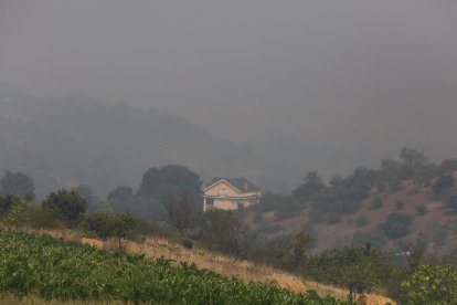 Intenso humo en el Bierzo debido a los diferentes incendios activos