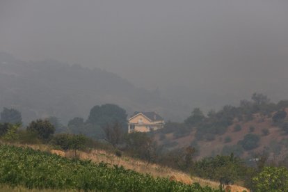 Intenso humo en El Bierzo debido a los diferentes incendios activos en la zona.
